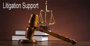 Litigation support